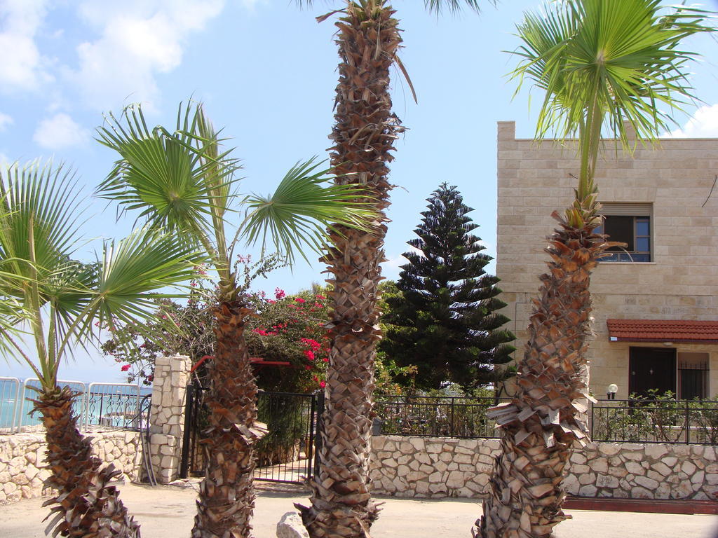 Tamer Guest House Хайфа Экстерьер фото